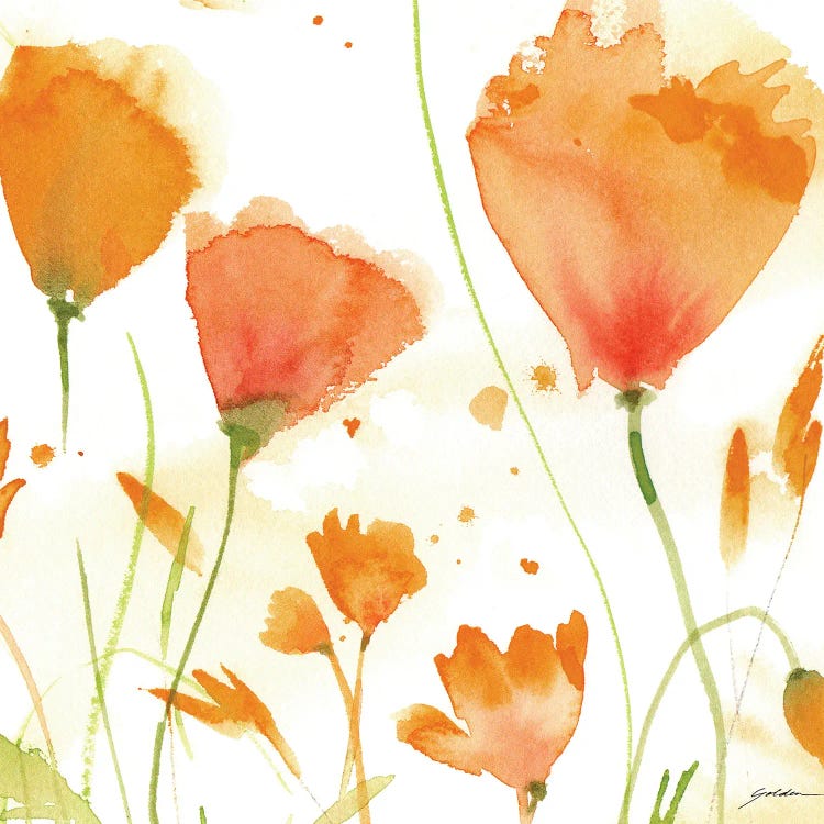 Poppy Moment by Sheila Golden wall art