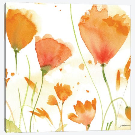 Poppy Moment Canvas Print #SGL6} by Sheila Golden Canvas Art