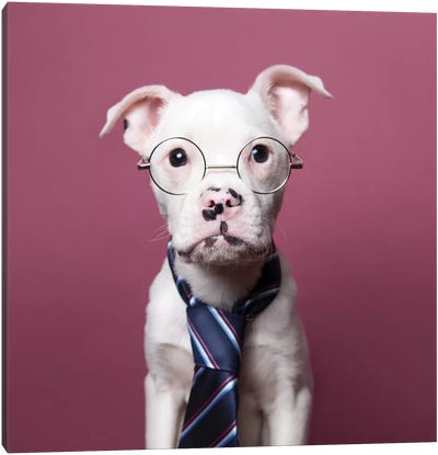 Tucker The Rescue Puppy, The Job Interview Canvas Art Print