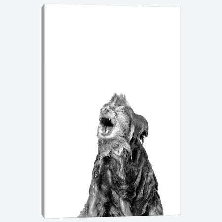 Wet Dog, Chelsea, Black & White Canvas Print #SGM113} by Sophie Gamand Art Print