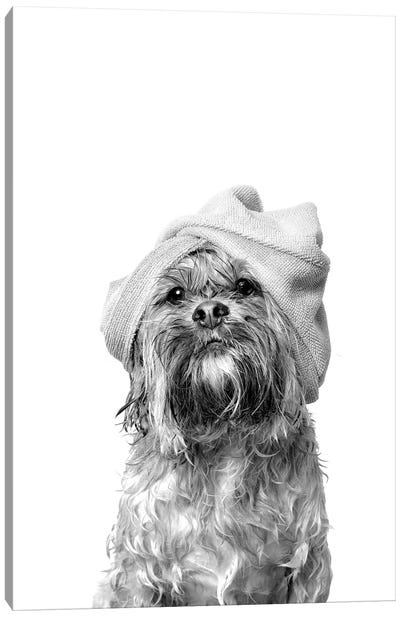 Wet Dog, Joey, Black & White Canvas Art Print - Bathroom Humor Art