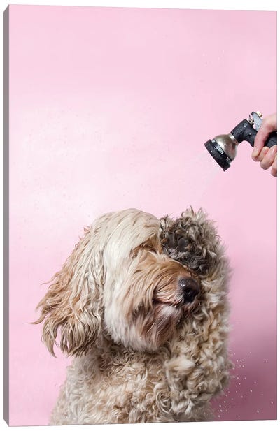Wet Dog, Lelu Canvas Art Print - Pet Industry