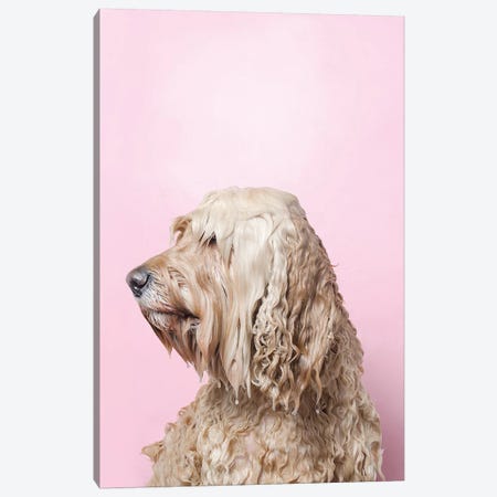 Wet Dog, Lelu Can’T See Canvas Print #SGM119} by Sophie Gamand Canvas Print