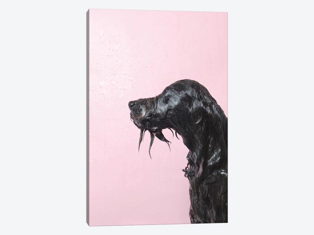 Wet Dog, Rerun by Sophie Gamand 1-piece Canvas Artwork