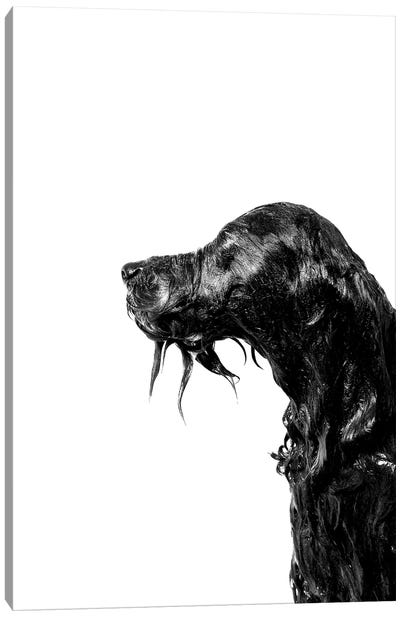 Wet Dog, Rerun, Black & White Canvas Art Print - Bathroom Humor Art