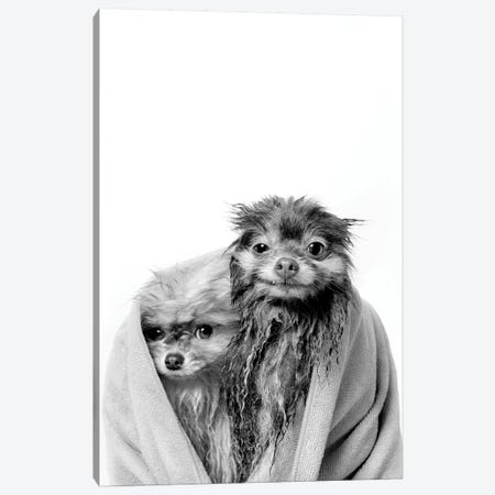 Wet Dogs, Chelsea And Pancake, Black & White Canvas Print #SGM130} by Sophie Gamand Canvas Art Print