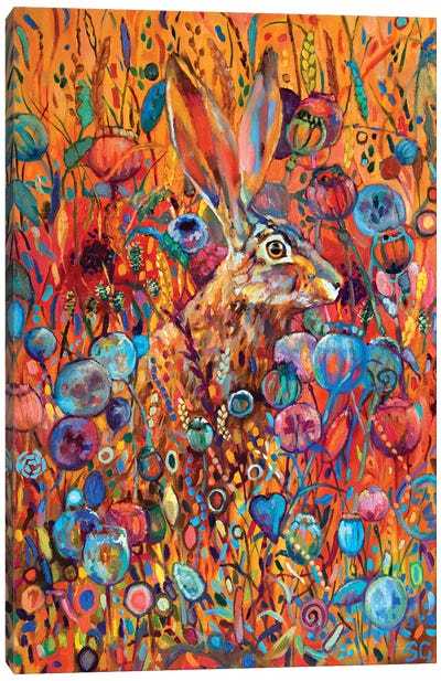 Poppyseed Hare Canvas Art Print - Sue Gardner