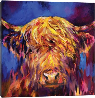 Banavie Canvas Art Print - Highland Cow Art