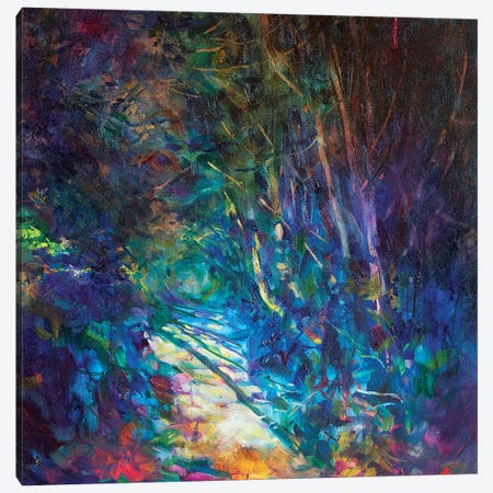 Sunlit Path Canvas Print #SGN18} by Sue Gardner Canvas Print