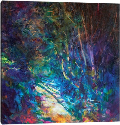 Sunlit Path Canvas Art Print - Sue Gardner
