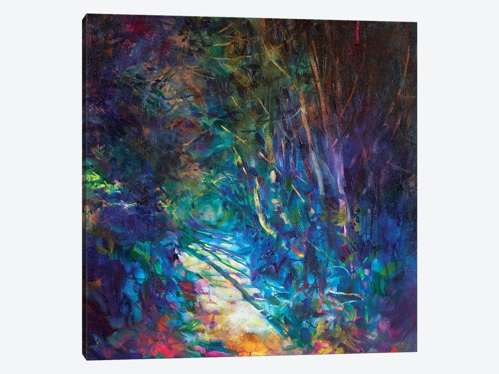 Sunlit Path by Sue Gardner 1-piece Canvas Artwork