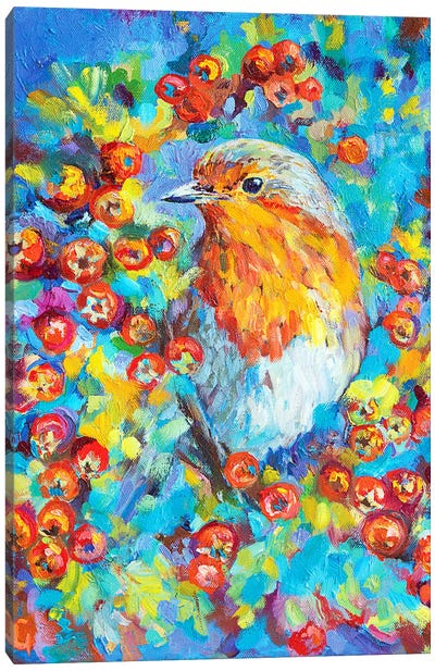Hawthorn Robin Canvas Art Print - Sue Gardner