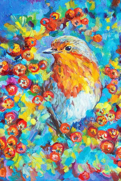Hawthorn Robin