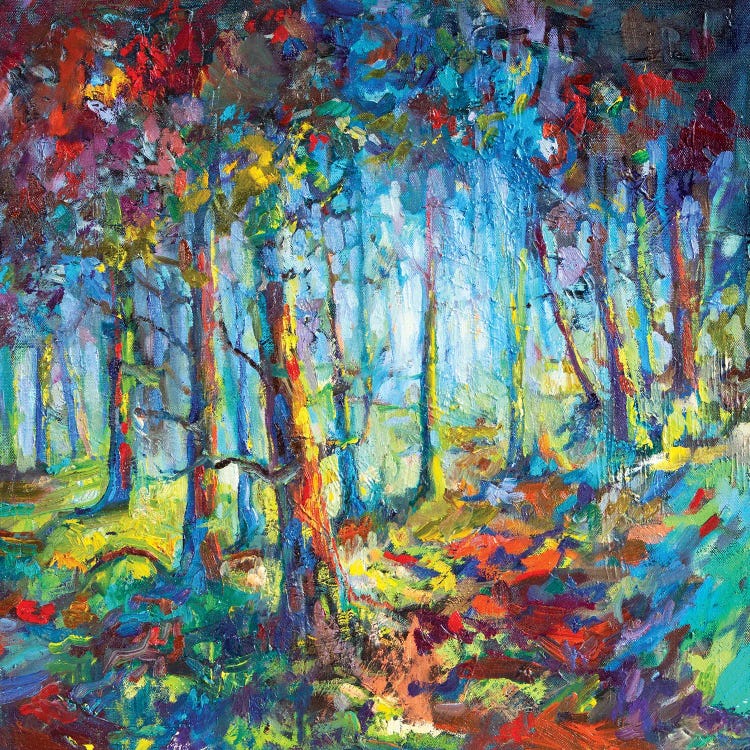 Woodland Walk by Sue Gardner wall art