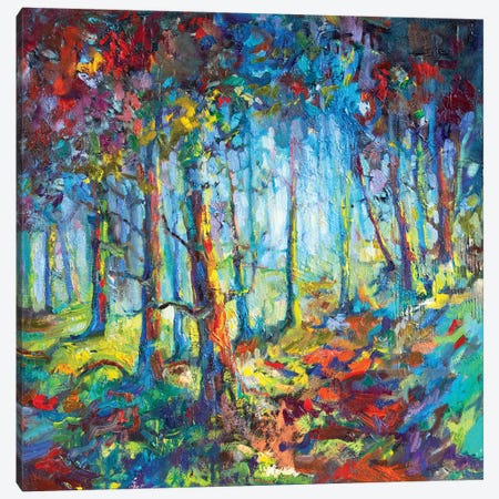Woodland Walk Canvas Print #SGN22} by Sue Gardner Canvas Art