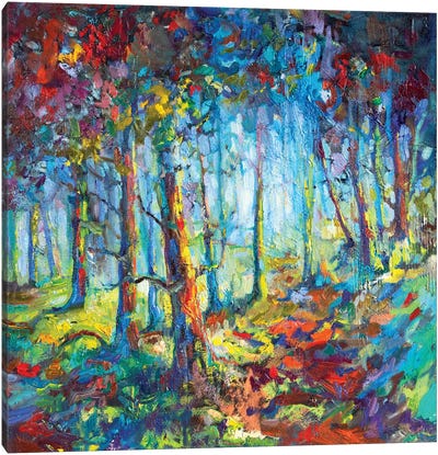 Woodland Walk Canvas Art Print - Enchanted Forests