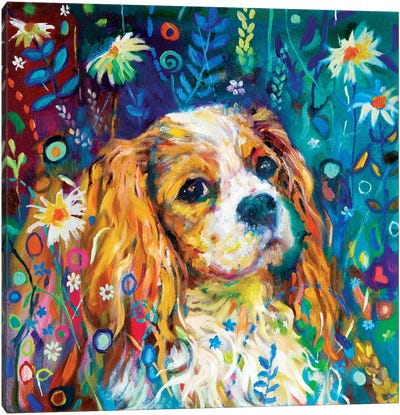 Cavalier Canvas Art Print - Art Gifts for Her