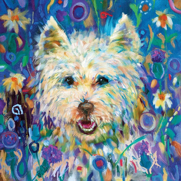 Westie by Sue Gardner wall art