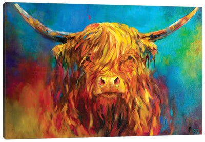 Glencoe Canvas Art Print - Cow Art