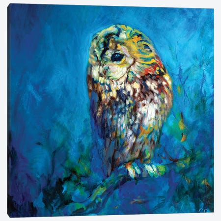 Ivy Roost Canvas Print #SGN36} by Sue Gardner Canvas Art