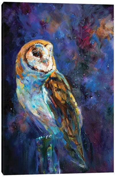 The Astronomer Canvas Art Print - Owl Art
