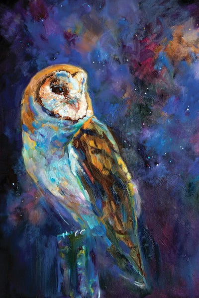 Owls: The Astronomer by Sue Gardner