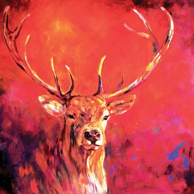 Sunrise Stag by Sue Gardner framed wall art