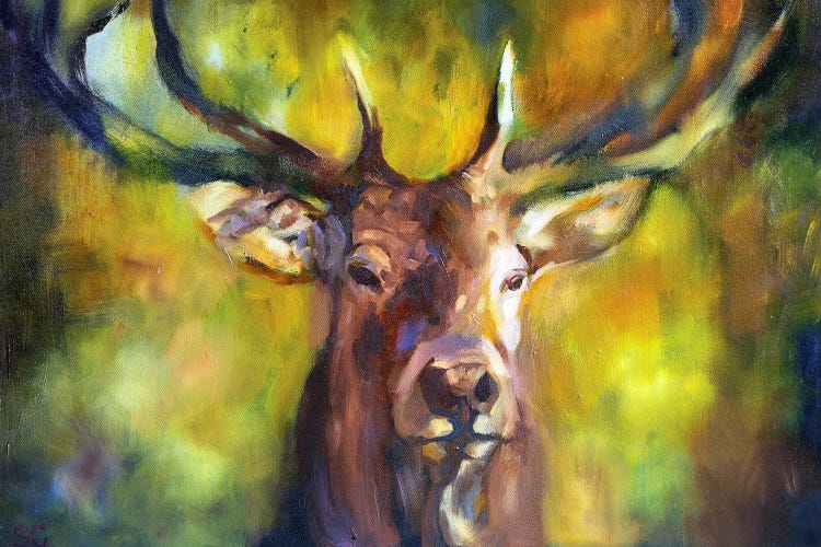 Woodlander by Sue Gardner wall art