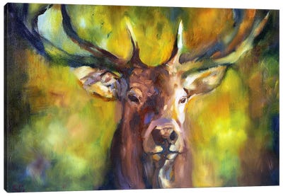 Woodlander Canvas Art Print - Sue Gardner