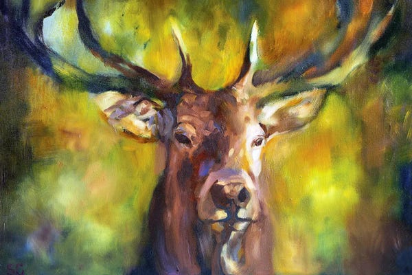 Sue Gardner: Woodlander by Sue Gardner