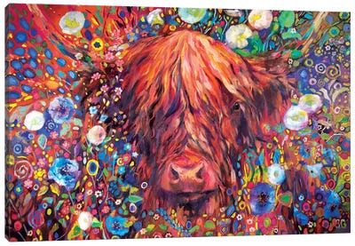 Morning Glory Canvas Art Print - Highland Cow Art