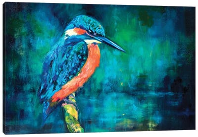Kingfisher Canvas Art Print - Sue Gardner