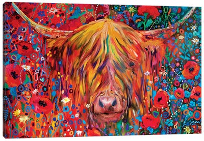 Poppy Cow Canvas Art Print - Highland Cow Art
