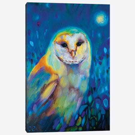 Moonlight Owl Canvas Print #SGN51} by Sue Gardner Art Print