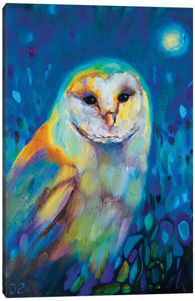 Moonlight Owl Canvas Art Print - Sue Gardner