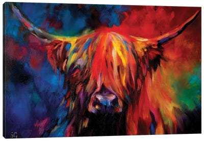 Highland Cow Canvas Art Print - Sue Gardner
