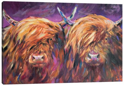 Highland Pair Canvas Art Print - Highland Cow Art
