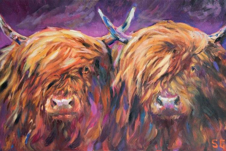 Highland Pair by Sue Gardner wall art