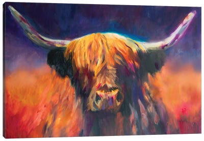 Sunset Highland Cow Canvas Art Print - Highland Cow Art