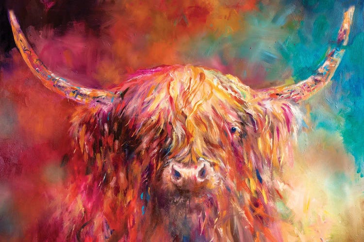 Misty Highland Cow