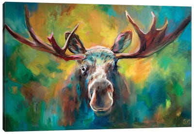 Majestic Moose Canvas Art Print - Sue Gardner