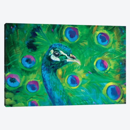 Proud Peacock Canvas Print #SGN58} by Sue Gardner Canvas Art Print