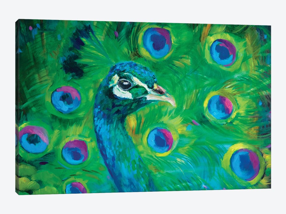 Proud Peacock by Sue Gardner 1-piece Canvas Art