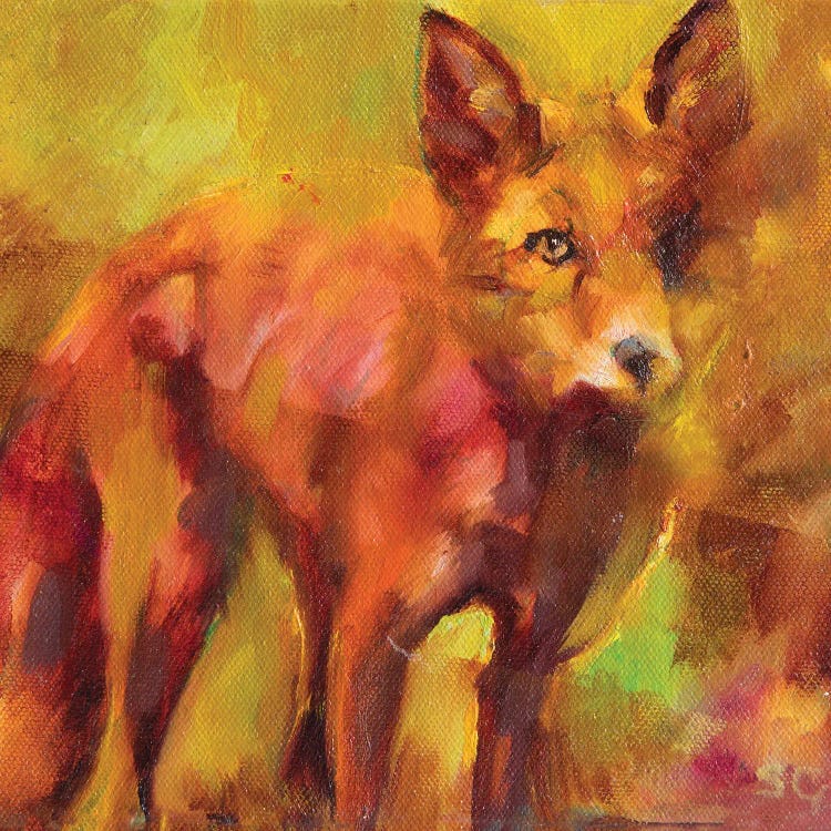 Shy Fox by Sue Gardner wall art