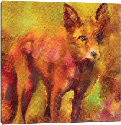 Shy Fox Canvas Art Print - Sue Gardner