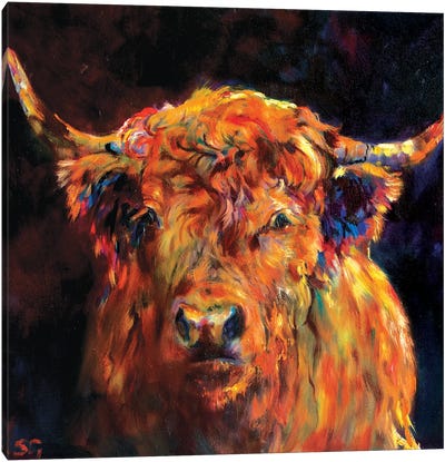 Tobermory Canvas Art Print - Highland Cow Art
