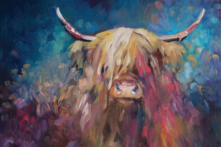 Dawn Highland Cow by Sue Gardner wall art