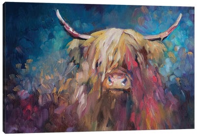 Dawn Highland Cow Canvas Art Print - Sue Gardner