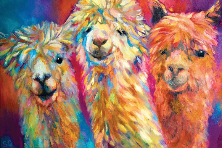 Three Alpacas