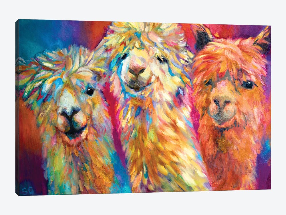 Three Alpacas by Sue Gardner 1-piece Canvas Artwork